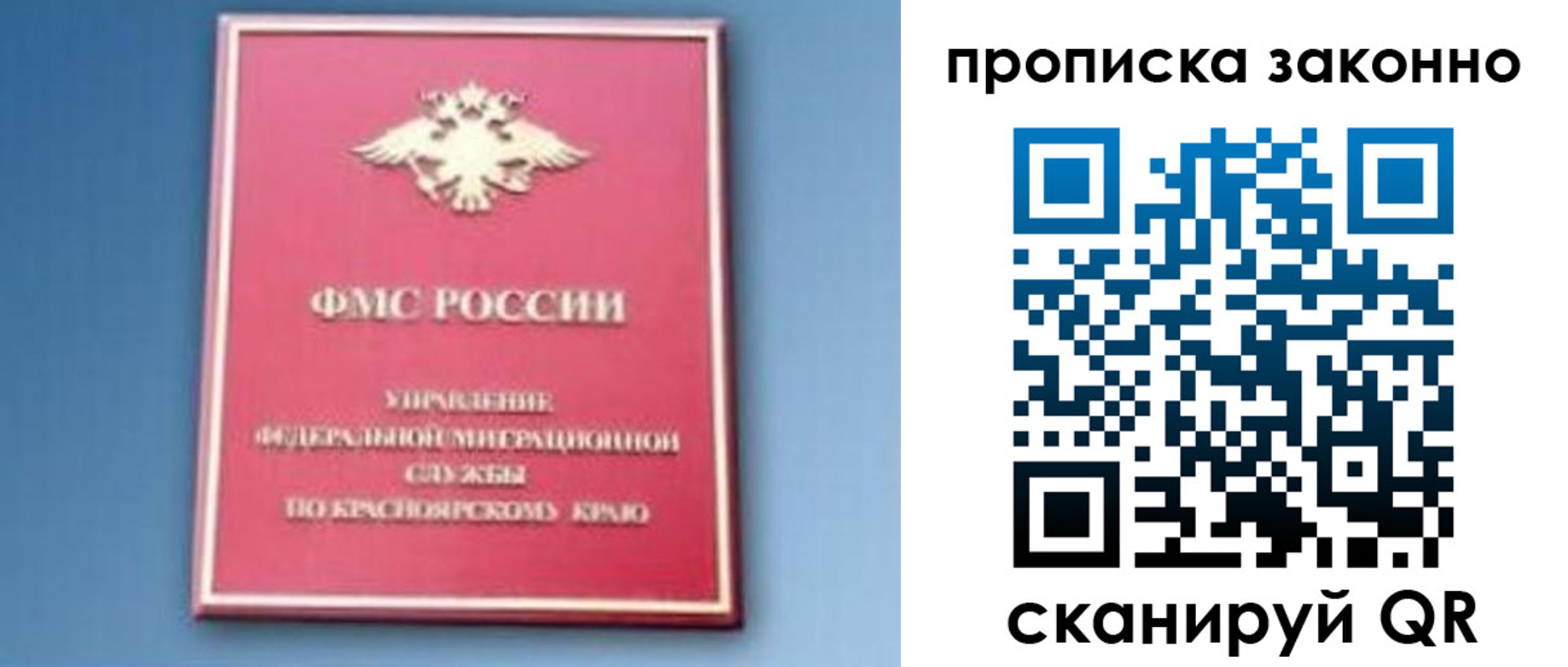 прописка законно в Волосово